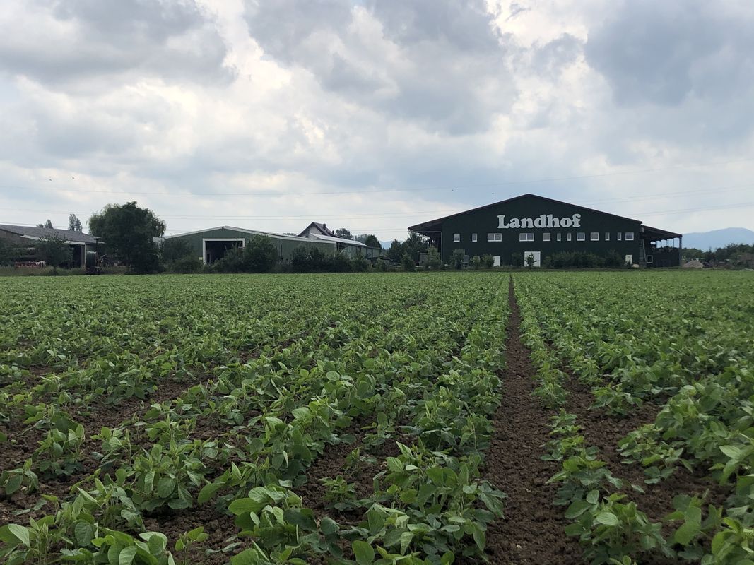 Hof Schellhaas Foto