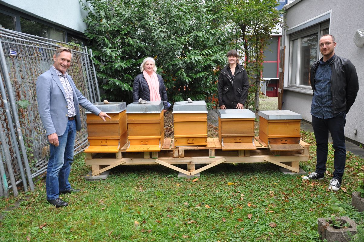 Bienen am Landratsamt Foto