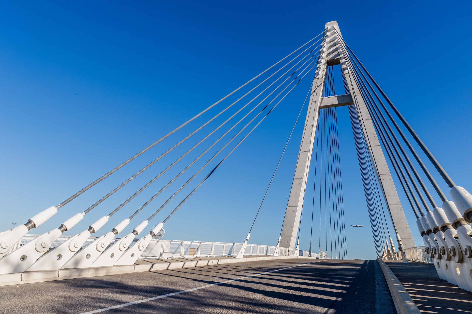 Schrägseilbrücke Raunheim Foto