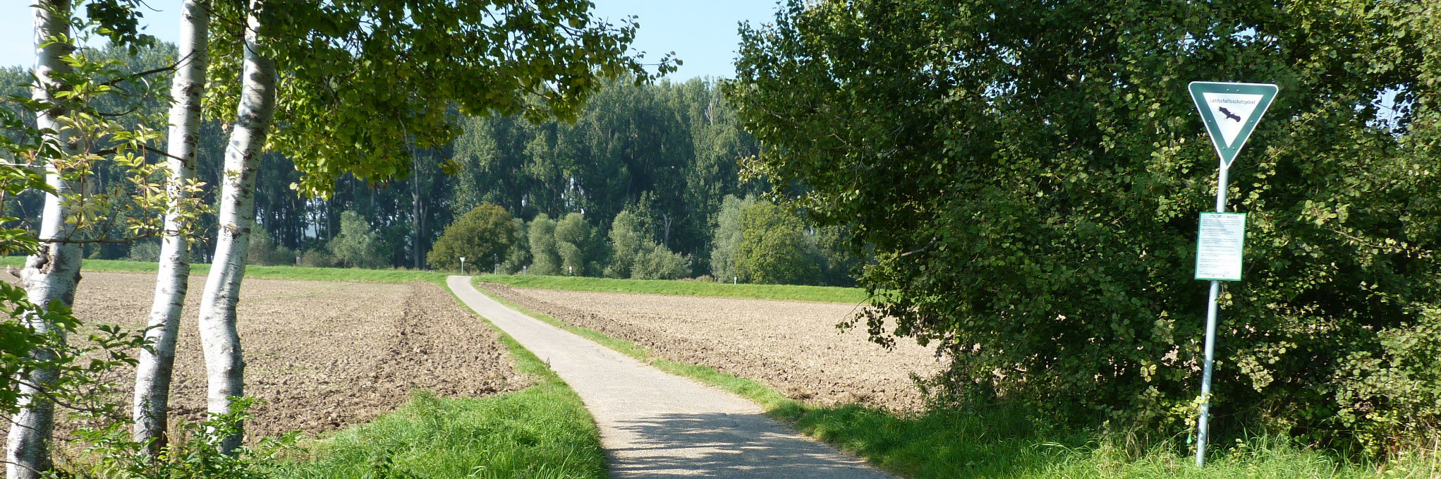 Goldgrund Foto