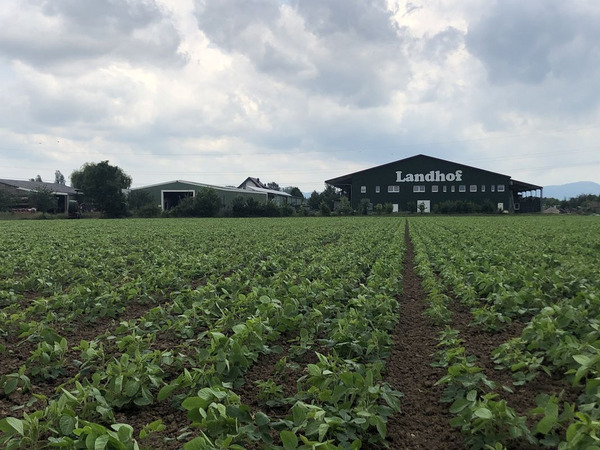 Hof Schellhaas Foto