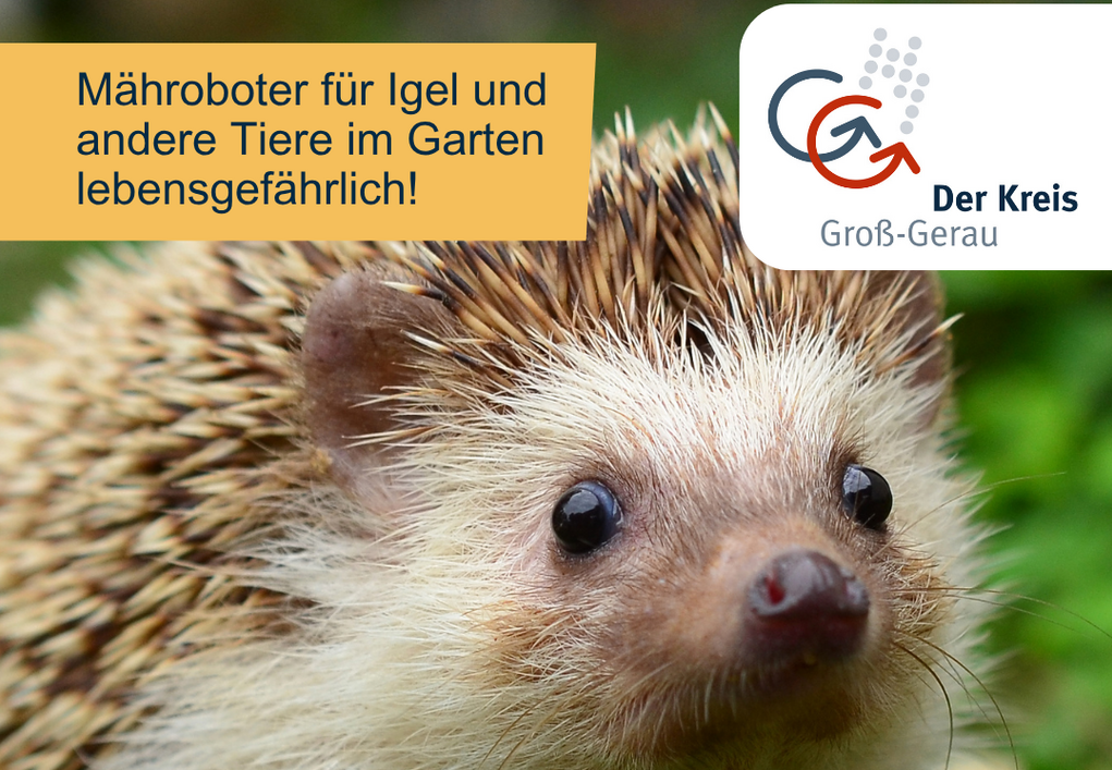 Mähroboter Verbot Bild