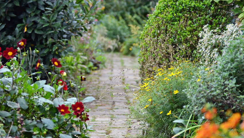 Naturnaher Garten Foto