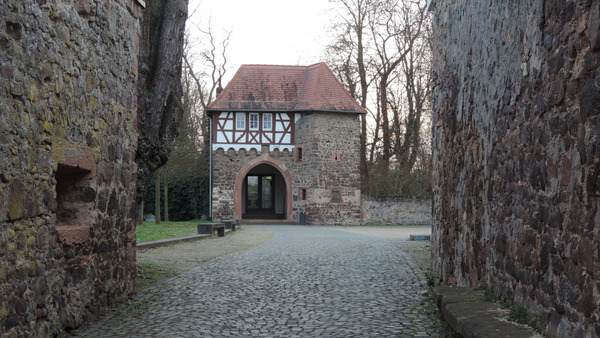 Schloss Dornberg Foto