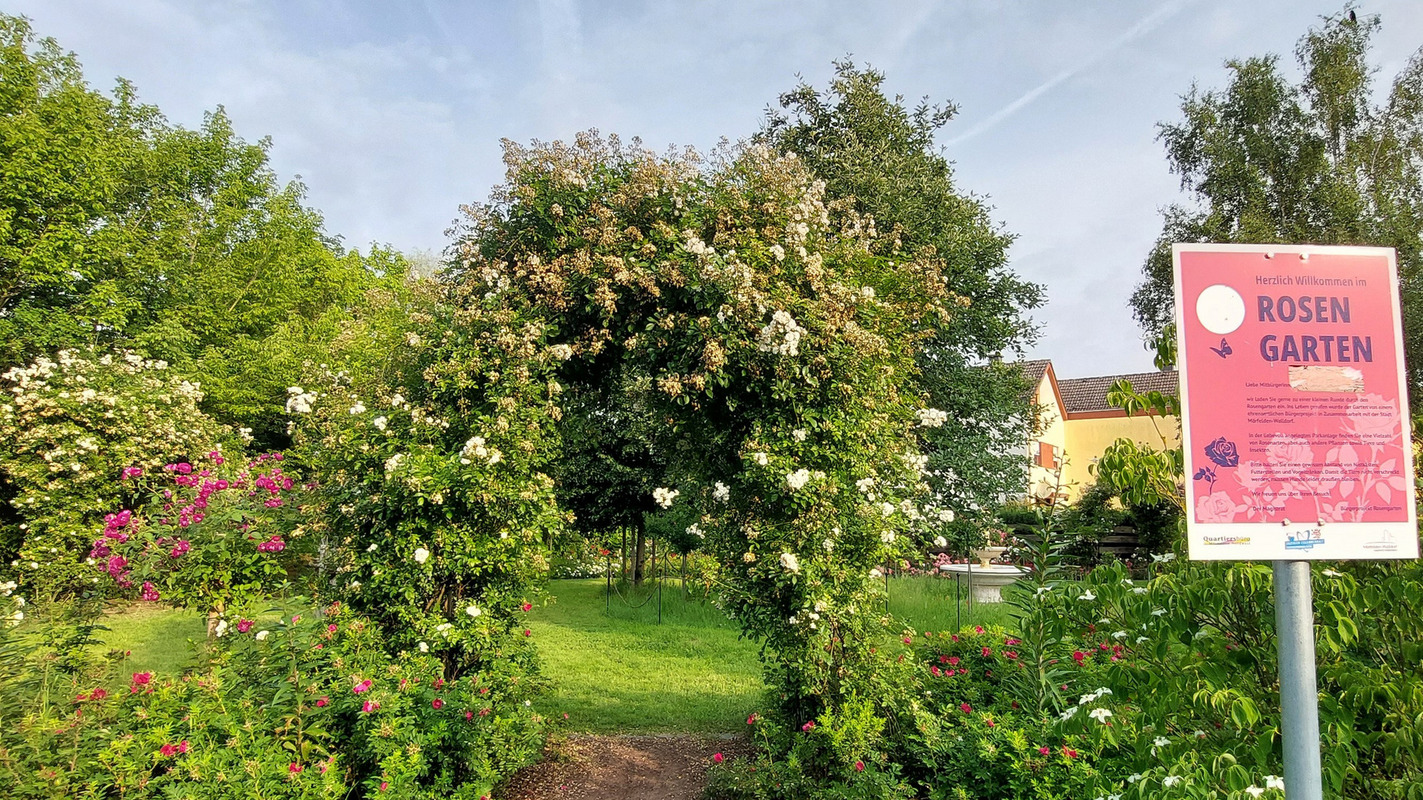 Rosengarten Mörfelden-Walldorf Foto