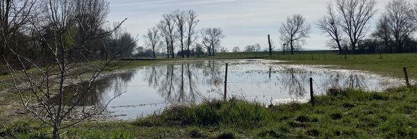 Schwarzbachauen Foto