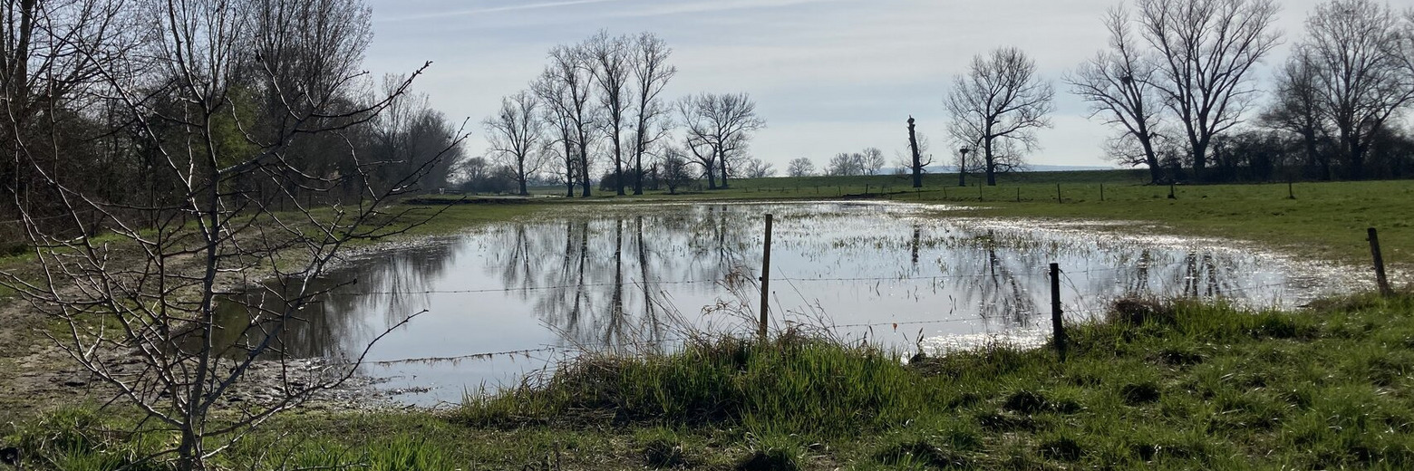 Schwarzbachauen Foto