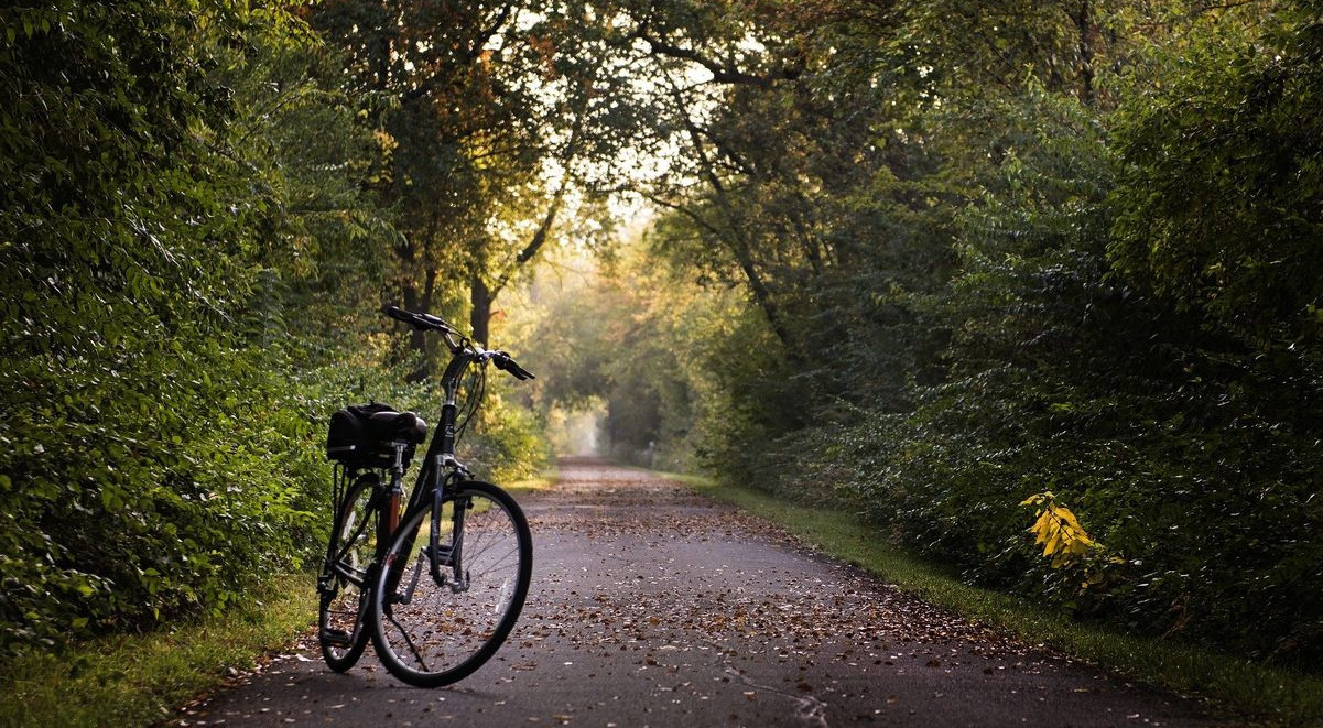 Fahrrad im Wald Foto