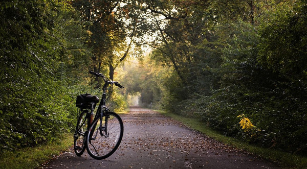 Fahrrad im Wald Foto