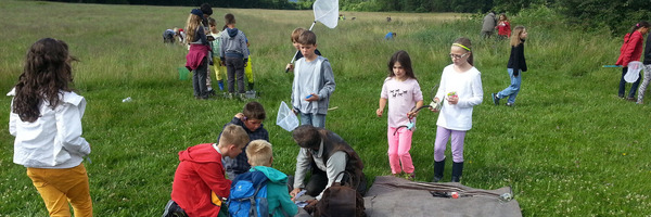 Ober-Seemen Foto